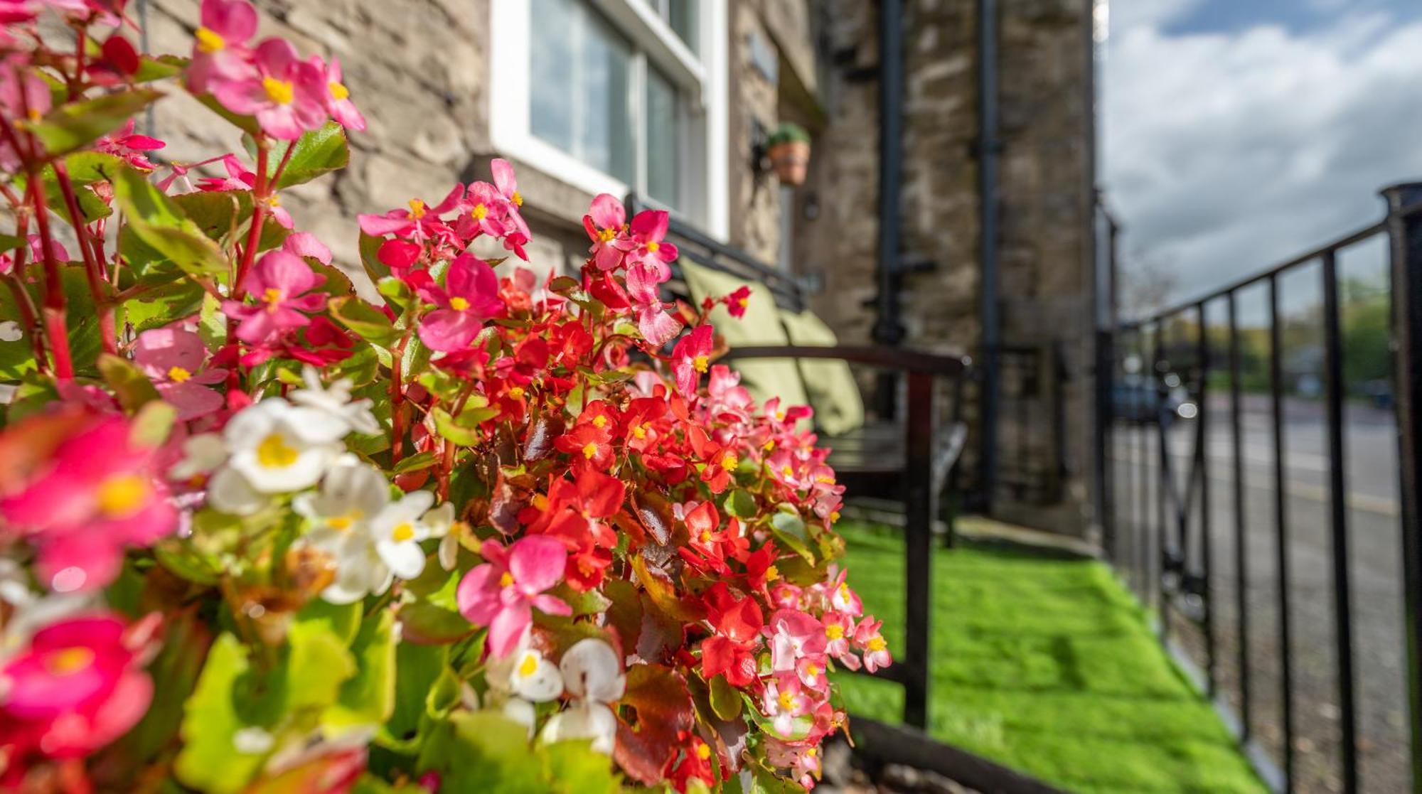 Wee Toad Hole Heart Of Kendal - Cottage Sleeps 4-6 - Dogs Welcome Eksteriør bilde